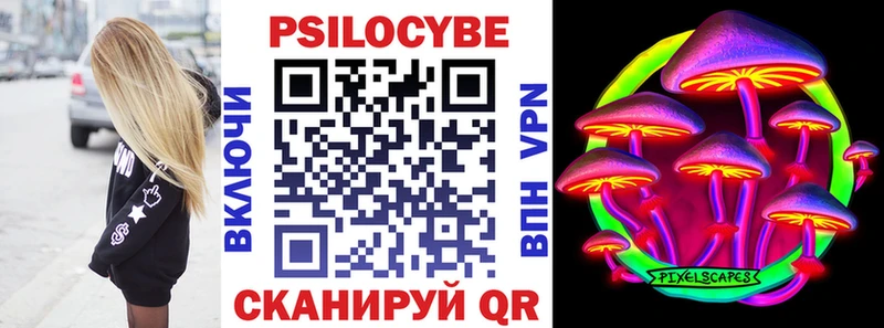 где продают Фролово Псилоцибиновые грибы Psilocybine cubensis